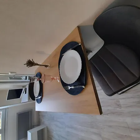 Apartment Cosy Avec Wi-fi A 50m Du Centre, Proche Des Thermes - - Fr-1-541-56 *