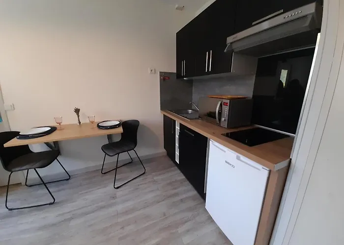Apartamento Cosy Avec Wi-fi à 50m Du Centre, Proche Des Thermes - - Fr-1-541-56 La Roche-Posay