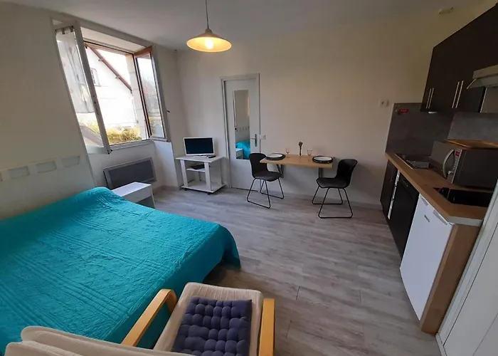 Cosy Avec Wi-fi à 50m Du Centre, Proche Des Thermes - - Fr-1-541-56 * La Roche-Posay