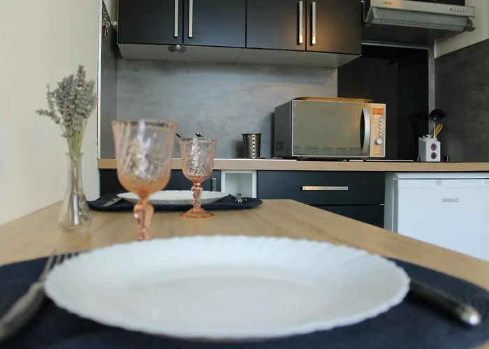 Cosy Avec Wi-fi à 50m Du Centre, Proche Des Thermes - - Fr-1-541-56 Apartamento La Roche-Posay