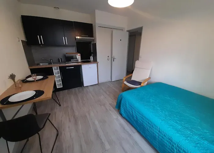 Apartamento Cosy Avec Wi-fi à 50m Du Centre, Proche Des Thermes - - Fr-1-541-56 *