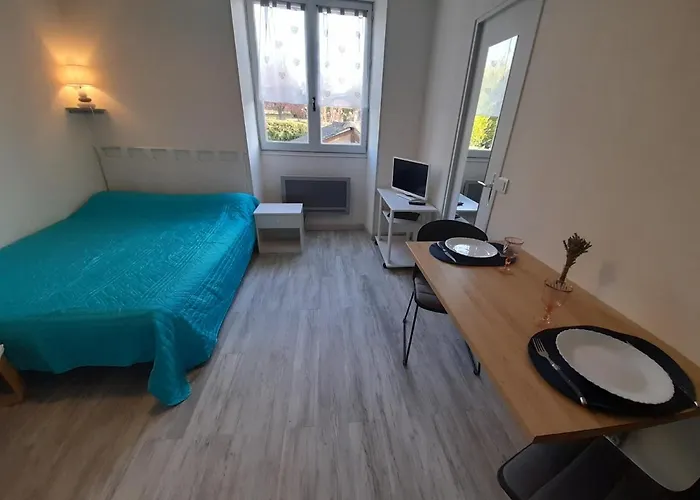 Cosy Avec Wi-fi à 50m Du Centre, Proche Des Thermes - - Fr-1-541-56 Apartamento *