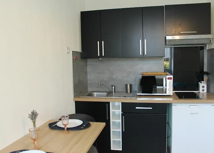 Cosy Avec Wi-fi à 50m Du Centre, Proche Des Thermes - - Fr-1-541-56 Apartamento